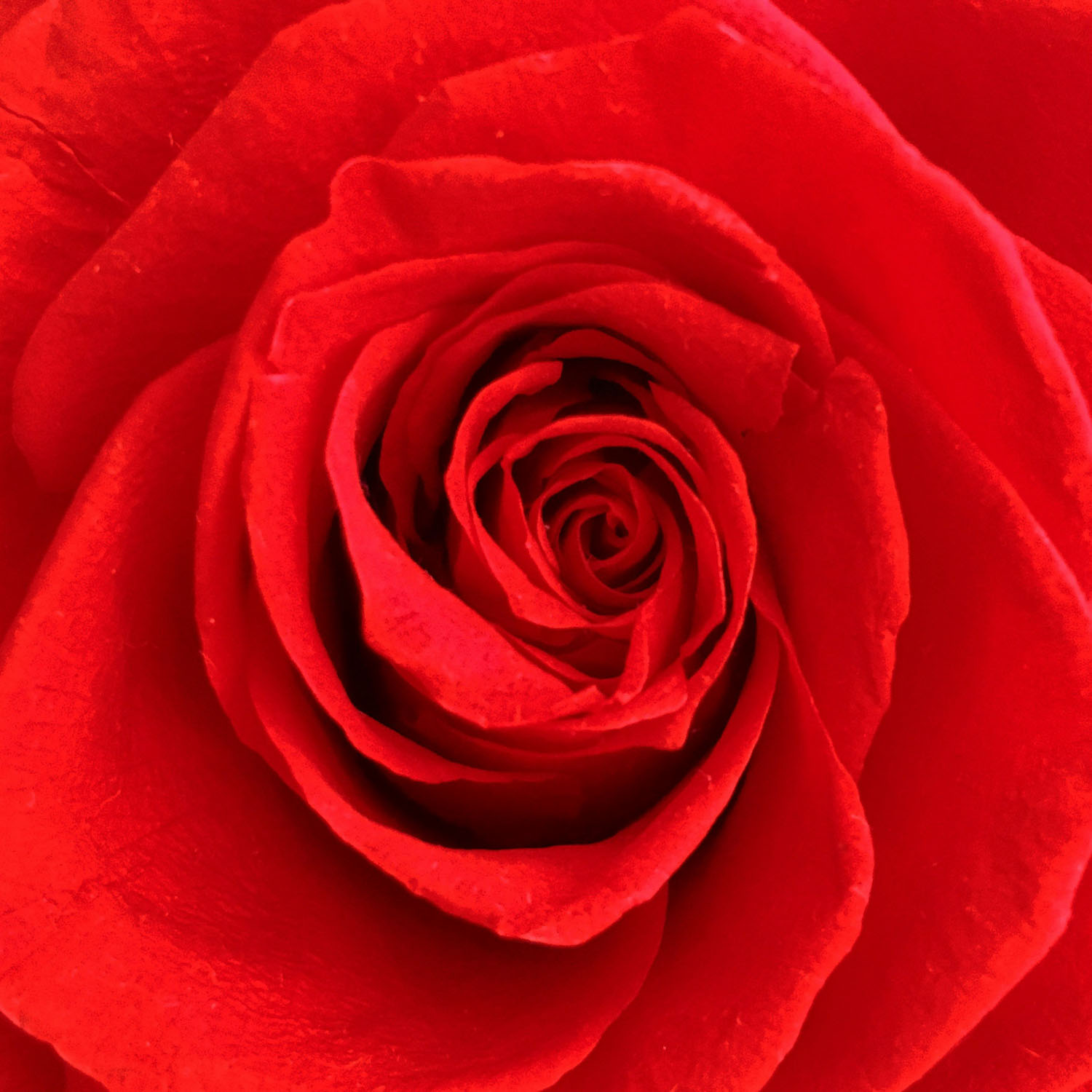Community voice: Leo Selomenio (Feb/Mar 2026)